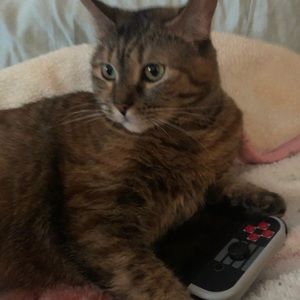 Meet your Posher, Anabel